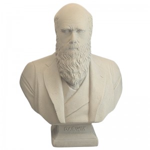 Charles Darwin Bust - Roman Stone Finish