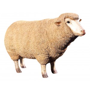 Merino Ewe / Sheep Resin Statue 