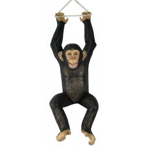 Hanging Monkey Chimpanzee