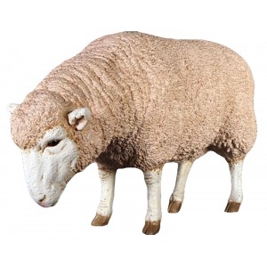 Merino Ewe / Sheep Resin Statue 96cm