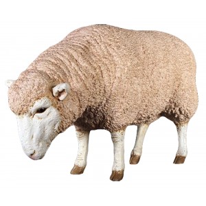 Merino Ewe Resin Statue 96cm
