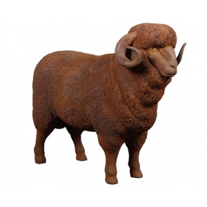 Merino Ram - 110cm - Rusty Finish