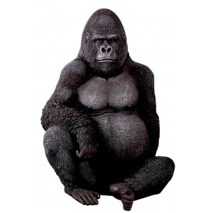 Silverback Gorilla