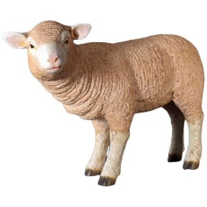 Standing Merino Lamb 62cm