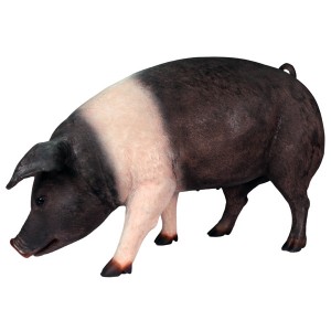 Life Size Saddleback Pig Sculpture - 127.5cm