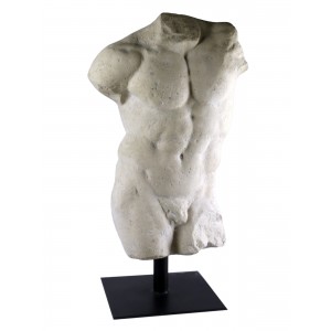Andrea Male Torso - Roman Stone Finish 78cm
