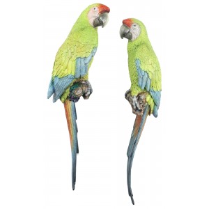 Pair Buffon's Macaw Parrots Wall Art 70cm