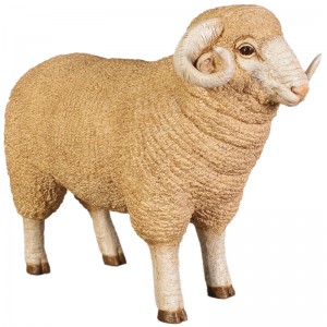 Merino Ram - Small - 55cm