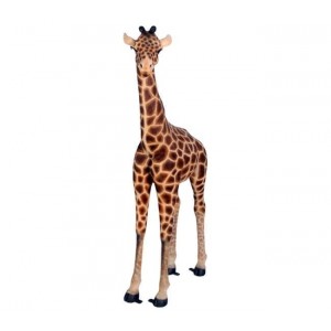 Baby Giraffe - 174cm