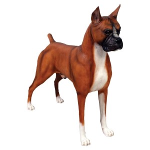 Standing Boxer Dog - 100cm