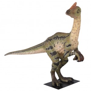 Dilong Paradoxus - 201cm