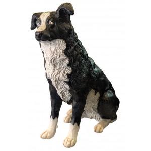 Border Collie Sitting Dog - 74cm