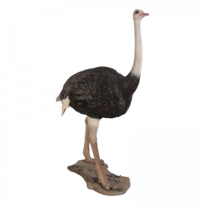 Ostrich - 213cm