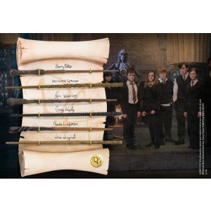 Dumbledore Army Wand Collection