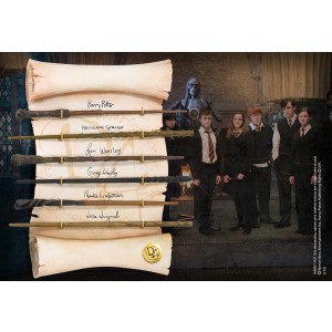 Dumbledore Army Wand Collection