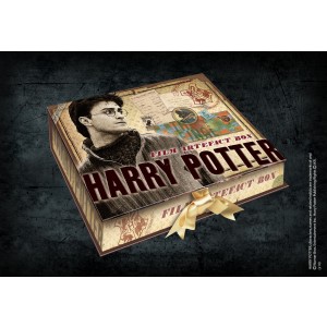 Harry Potter Artefact Box