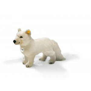 Studio Arctic Fox