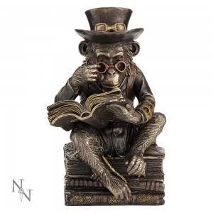 Chimpanzee Scholar 19.5cm