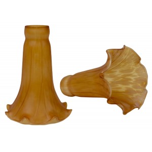Pond Lily Shades - Amber - PAIR